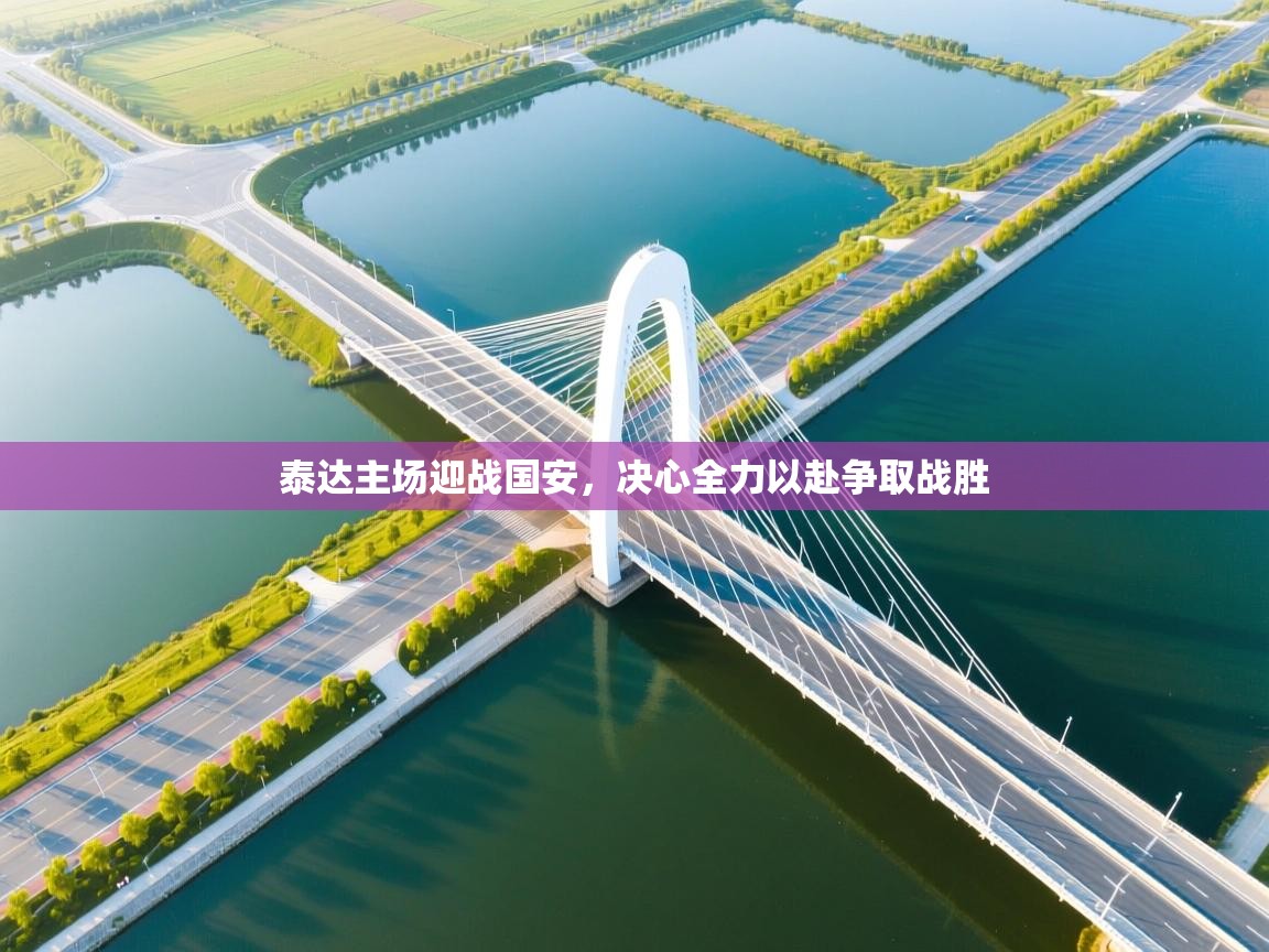 泰达主场迎战国安,决心全力以赴争取战胜 第1张