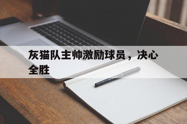 爱游戏官网网页版入口-包含灰猫队主帅激励球员，决心全胜的词条